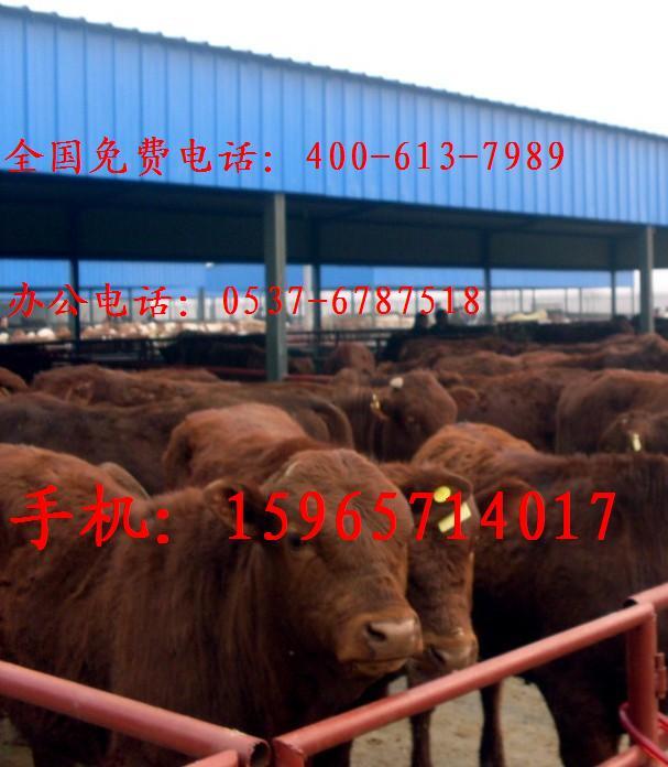 我的世界如何养羊-养羊吧价格_我的世界如何养