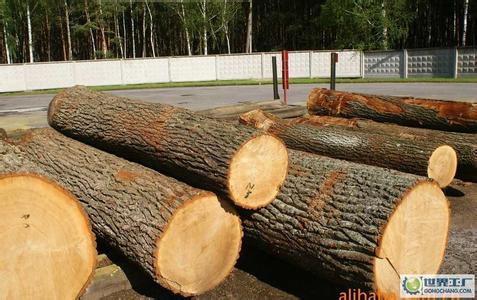 【广东移民搬家海运家具到新加坡】价格,厂家