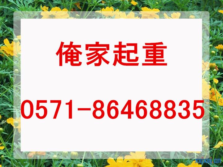 诸暨大型精密机器设备运输吊装就位专业起重公司